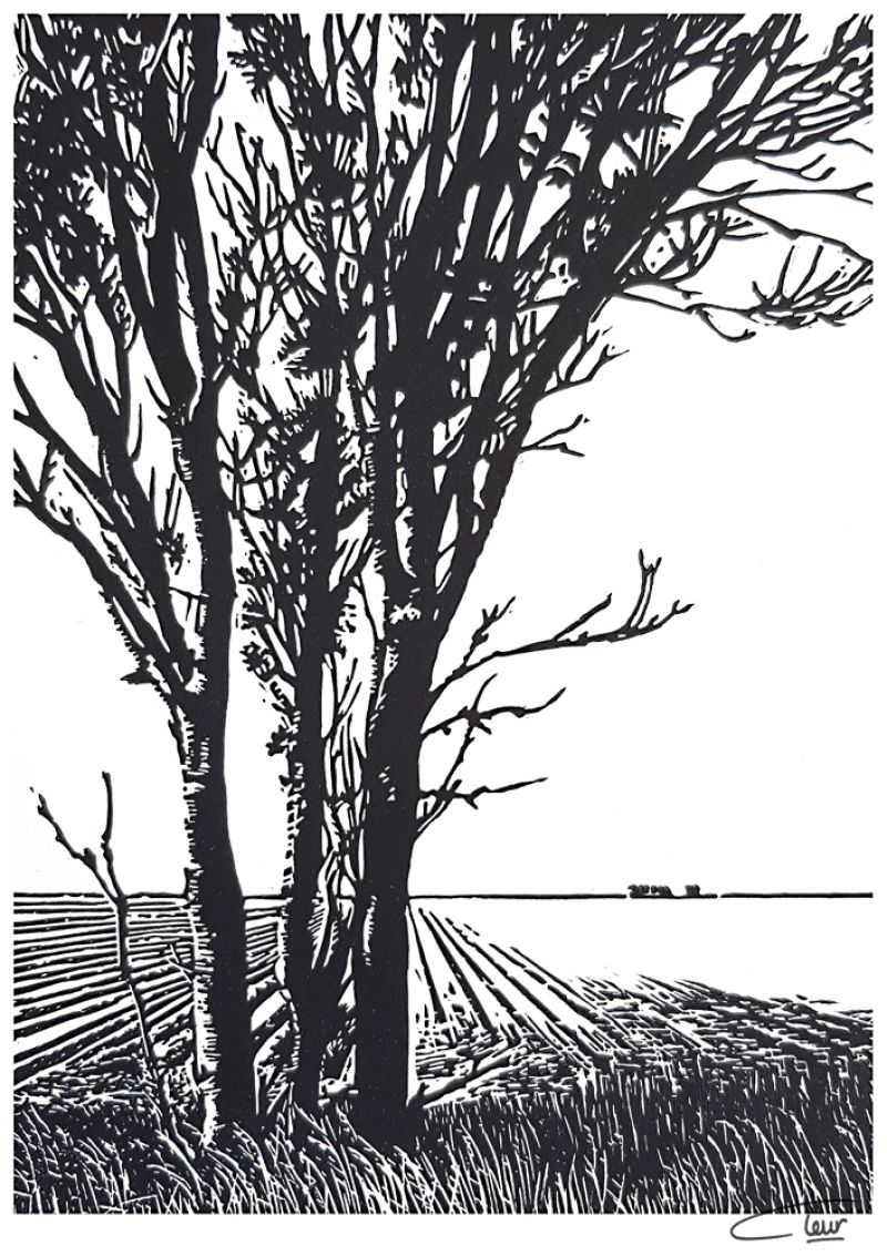 linoleumsnede Middendijk