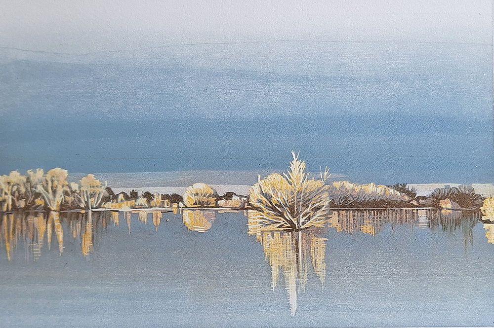 houtsnede Januari 2024