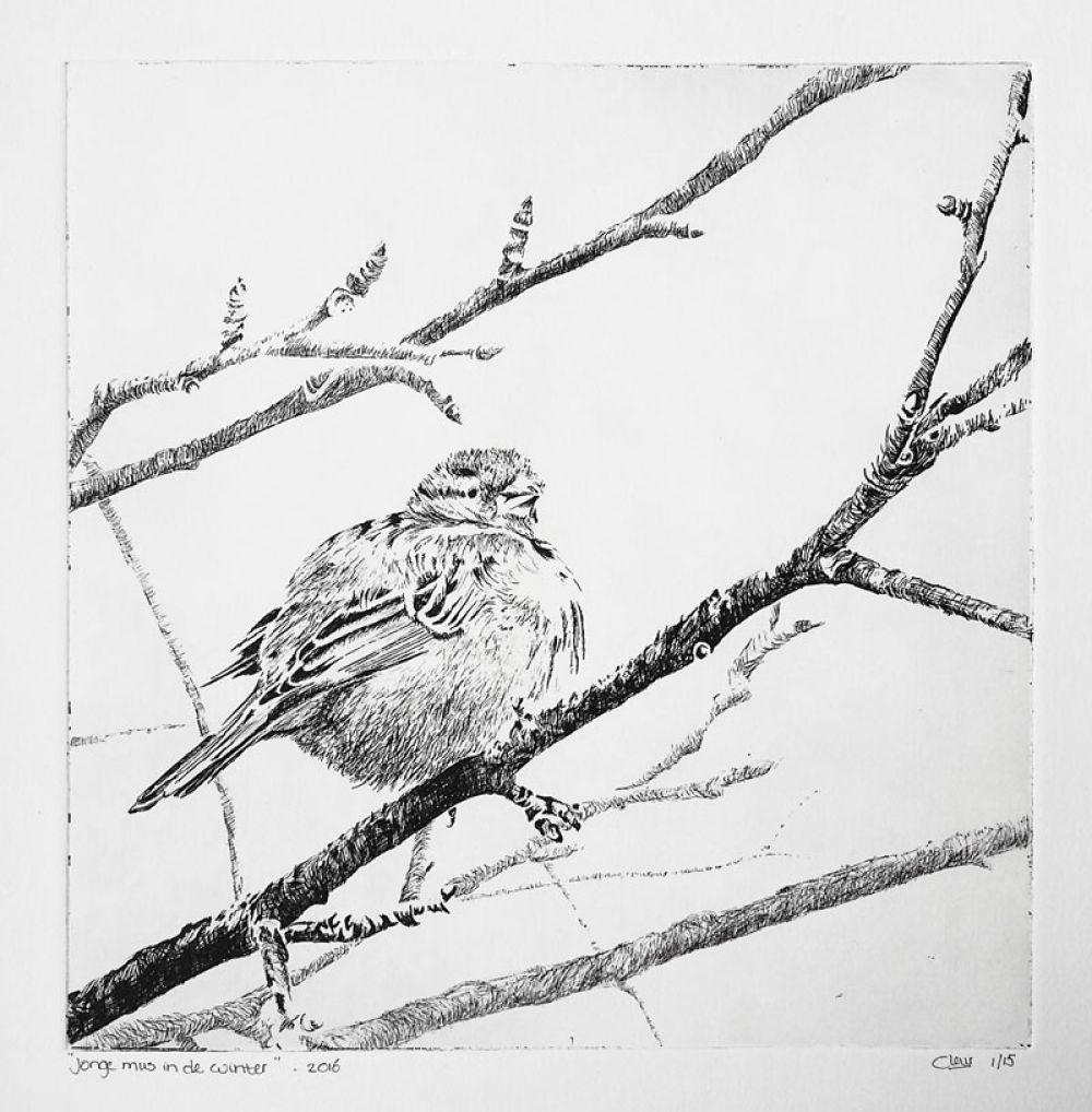 ets jonge mus in de winter