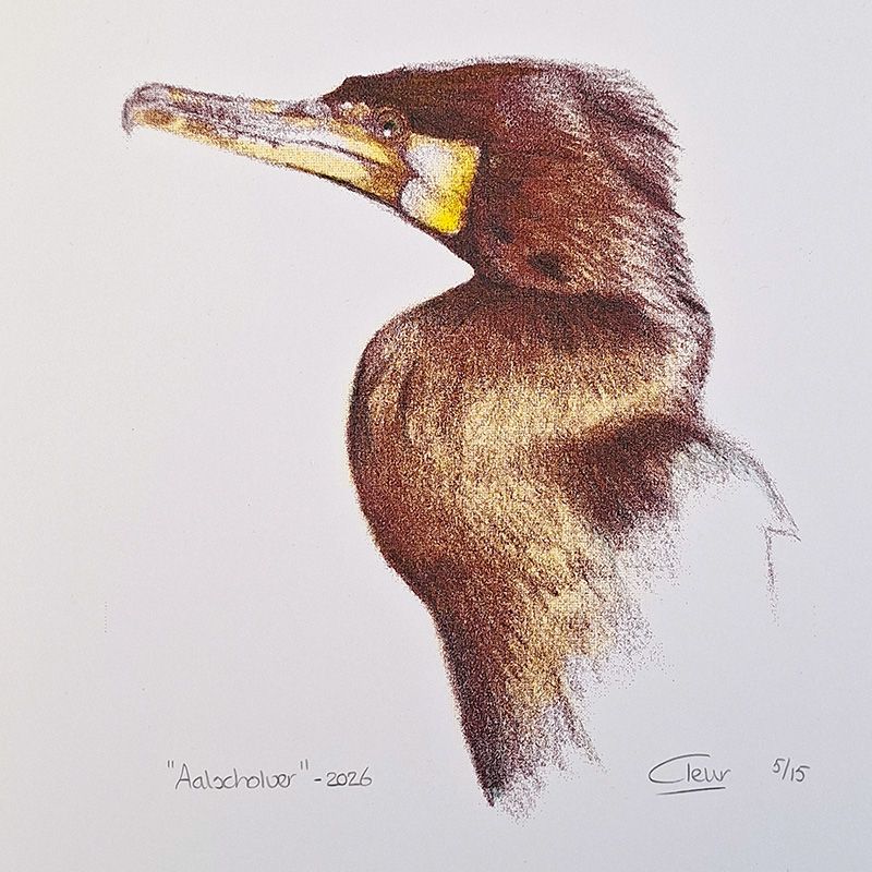 risoprent aalscholver