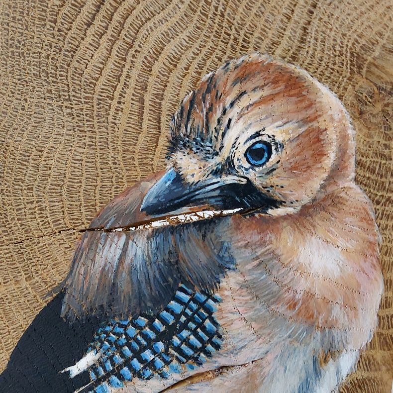 vogelhoutje jonge gaai