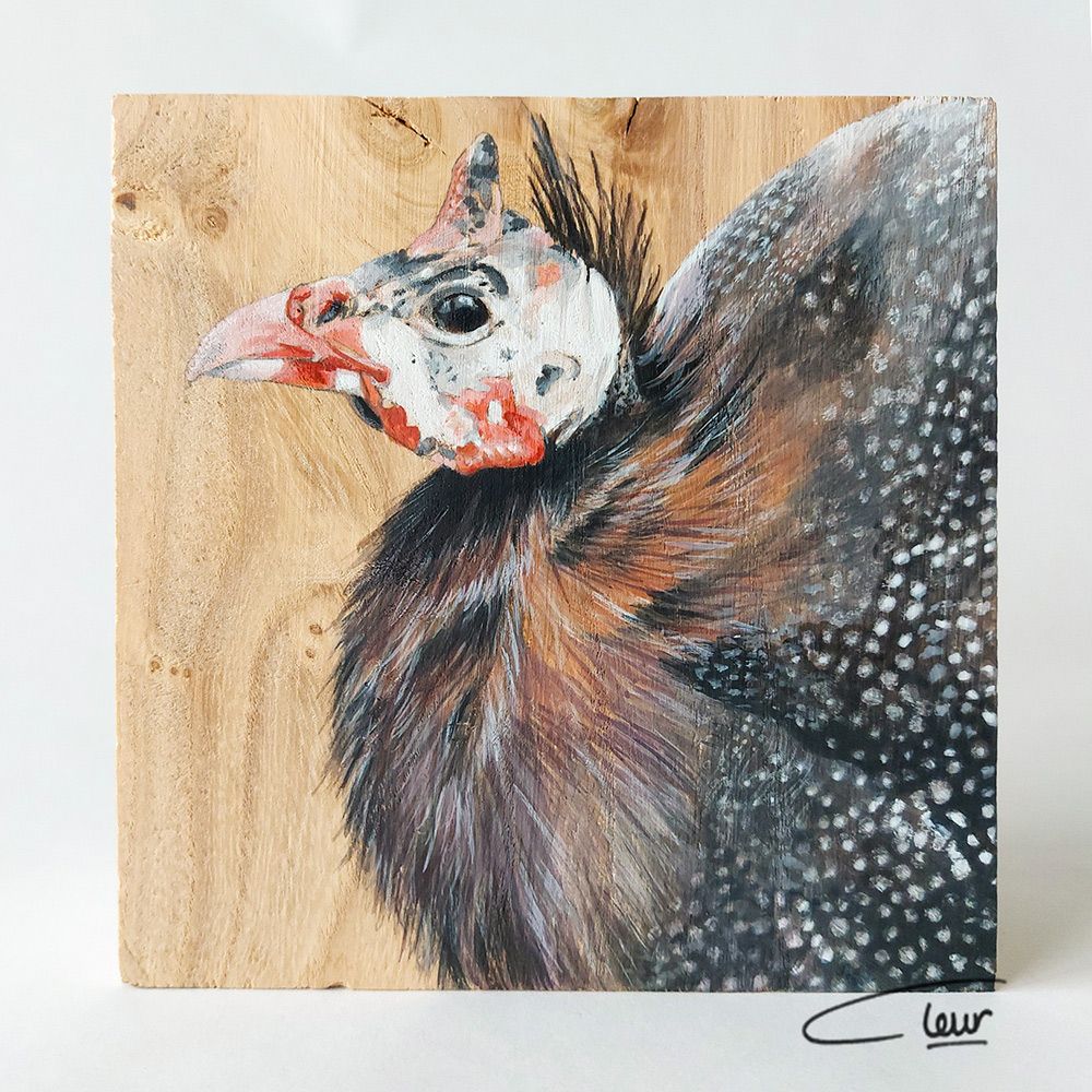 vogelhoutje Parelhoen