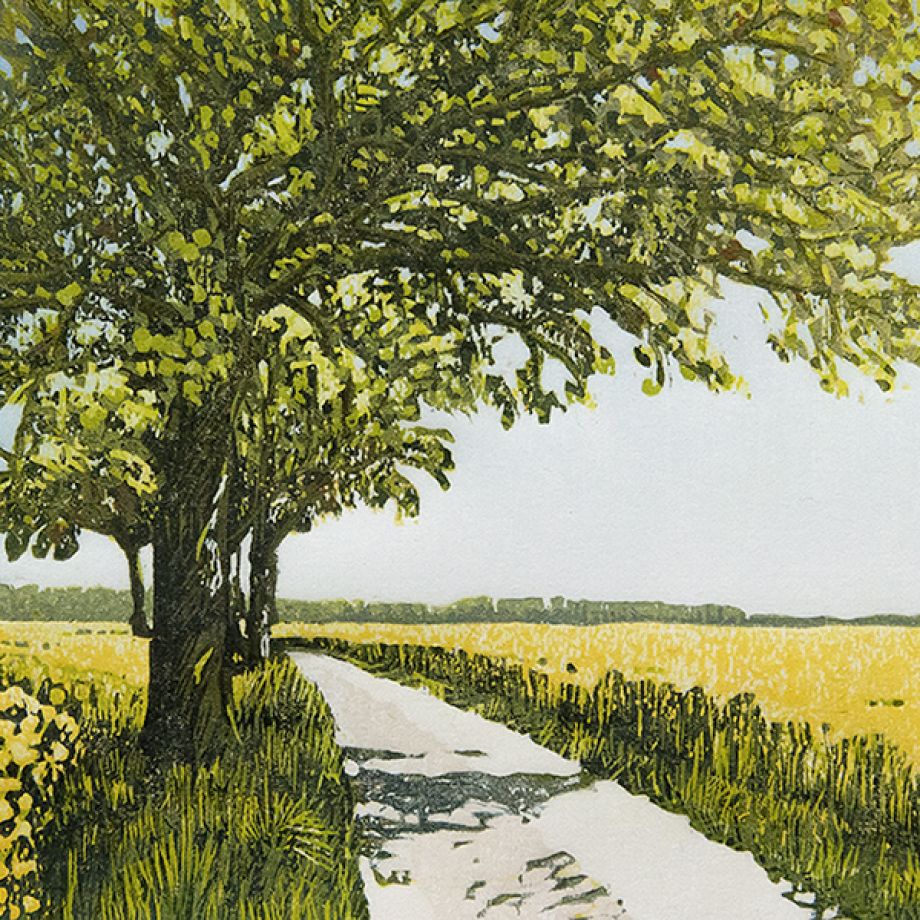 houtsnede lente