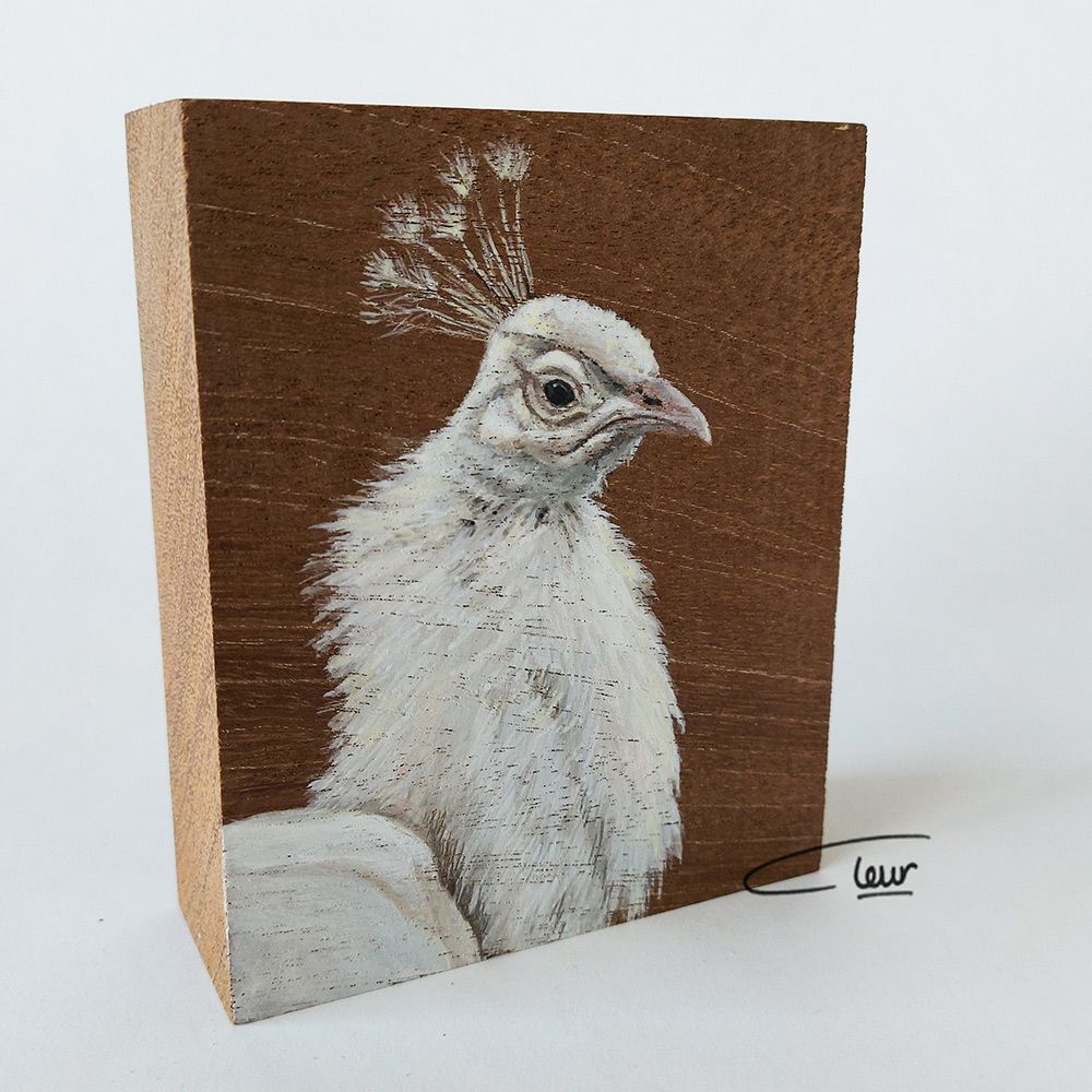 vogelhoutje witte pauw