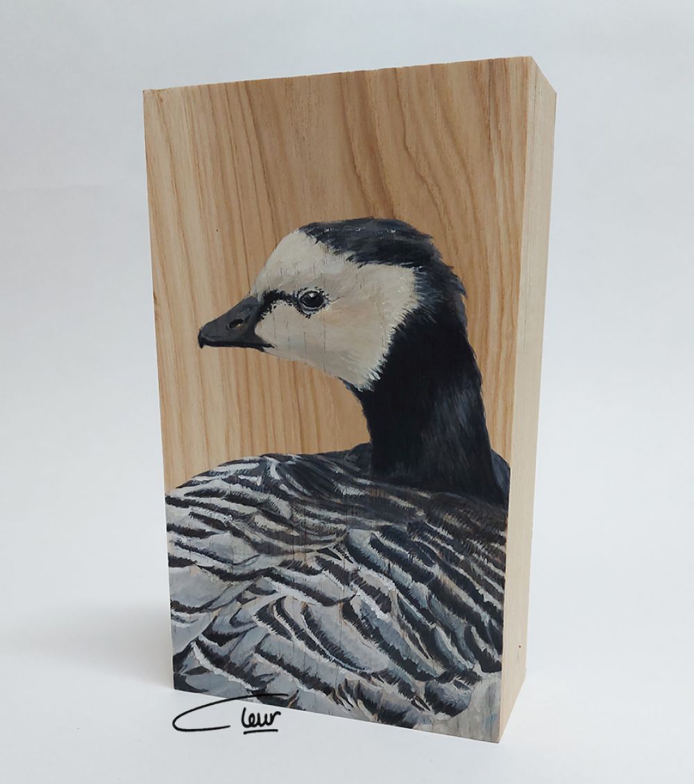 vogelhoutje Brandgans