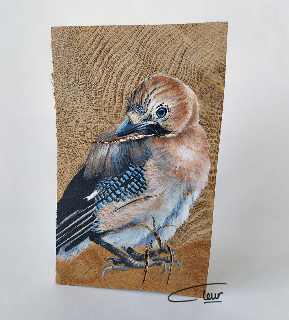 vogelhoutje jonge gaai