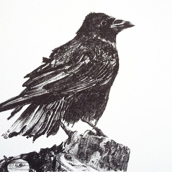 litho de kraai