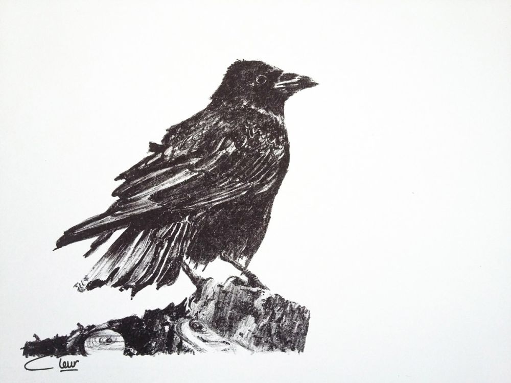 litho de Kraai