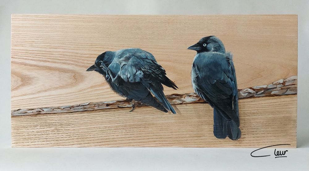 vogelhoutje kauwtjes