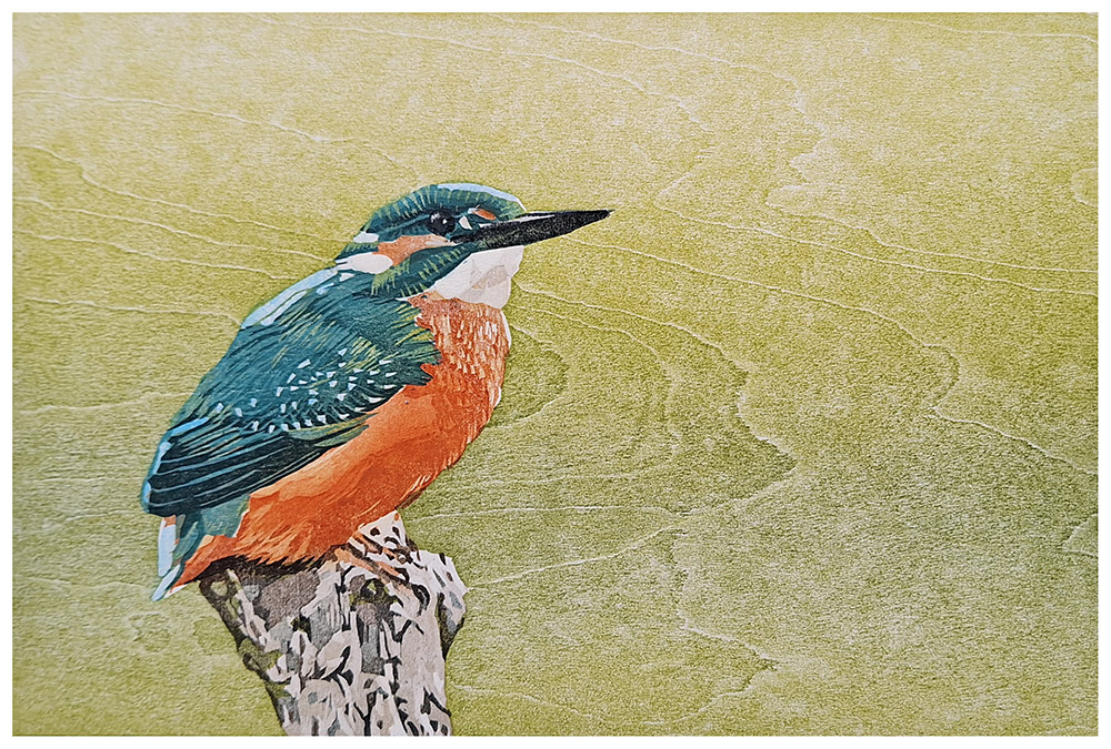 houtsnede juni ijsvogel